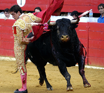 Manoletina o Pase del Sobaco.jpg